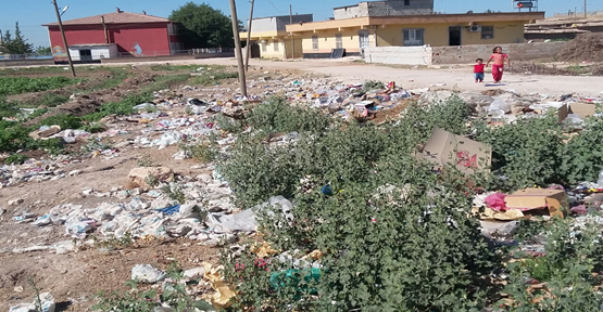 Ulucanlarda çöpler geç toplatılıyor iddiası