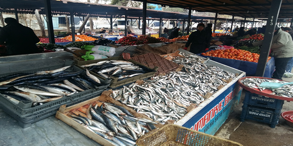 Urfa taze günlük balık satışı başladı