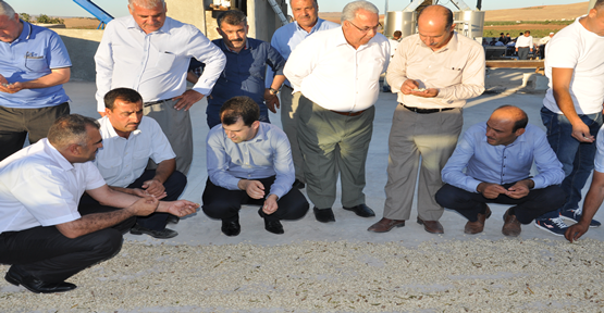 Urfa'da fıstık kavlatma tesisi açıldı