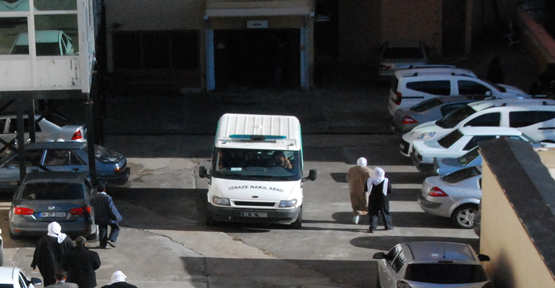 Urfa'da iki otomobil çarpıştı, 2 ölü, 7 yaralı