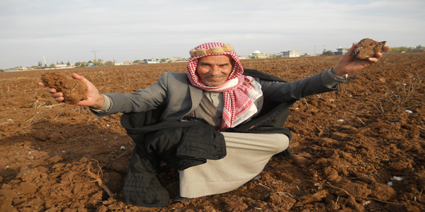 Urfa'da kuraklık çiftçileri endişelendiriyor