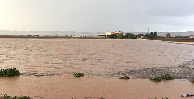 Urfa'da sağanak yağış etkili oldu