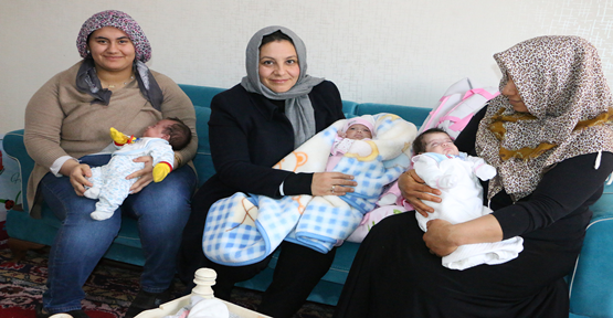 Urfa'da üçüz bebekler dünyaya geldi