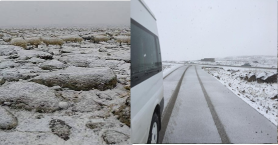 Urfa'da yılın ilk karı yağdı