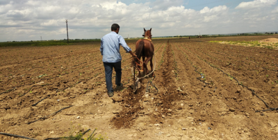 1 Mayıs'ta Onlar Ekin Ekti