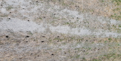 11 Nisan Stadın Çimleri Kurudu Mu?