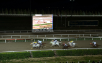 17 Yıldır yarışmalara katılıyorlar