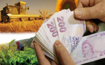 2015 Hububat Destekleme ödemeleri başladı