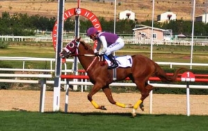 3 Kasım  Şanlıurfa Koşu Sonuçları