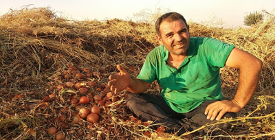 6 Kuruşa Düşen Soğana Alıcı Çıkmadı