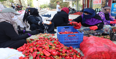 "7 TL Karşılığında Temizleniyor"