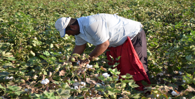 Açıklanan Fiyatlar Satışa Yansımadı