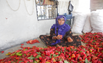 Acıyı hissetmeyen eller