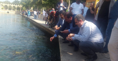 AK Parti Genel Başkan Yardımcısı Karacan Şanlıurfa'da