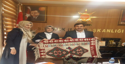 AK Parti Kadın Kolları Başkanı Güven, Bozova ve Siverek mülakatlarına katıldı