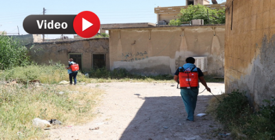 Telabyad'da İlaçlama Çalışması Yapıldı