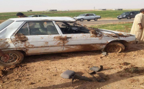 Akçakale- Ceylanpınar yolunda kaza, 4 yaralı