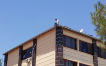 Akçakale kaymakamlığında intihar girişimi