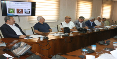 Akçakale Pamuk Festivali Uluslararası Düzeyde Yapılacak      