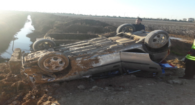 Akçakale'de otomobil tarlaya devrildi, 1 yaralı