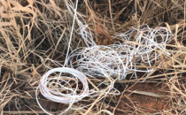 Akçakale'de Yola Döşenmiş Eyp Bulundu