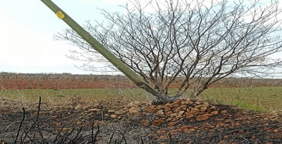 Anız yangınları elektrik dağıtım hizmetini olumsuz etkiliyor