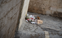 Ara sokaklar kedilere emanet