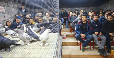 Arabasını Feda Eden Var