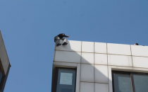 Arabaya haciz konuldu intihara kalkıştı