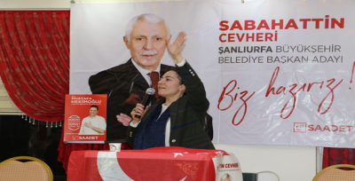 Aslan, 'Karanlıkköprü' Olmayacak'