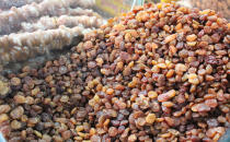 Aşure Hazırlıkları Başladı