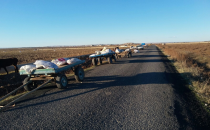 At abraları dar gelirlerin ulaşım aracı