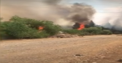 Atatürk Barajı'nda Yangın