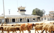 Atıl durumdaki havaalanı fidanlık oluyor