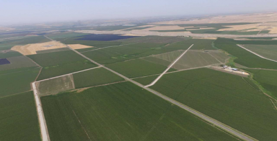 Aydın, Arazi Toplulaştırmasında Hedef 8,5 Milyon Hektar