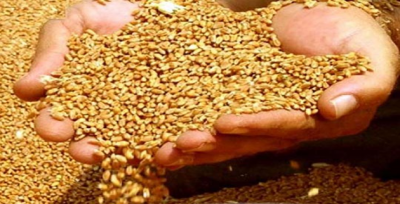 Bakan Çelik, emanet alımlar başladı