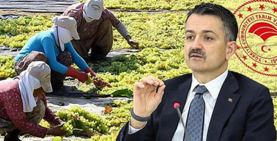 Bakanlığa 826 işçi alınacak!