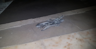 Bakanlıktan Urfa'daki Patlama ile İlgili Flaş Açıklama!