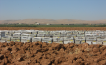 "Ballar Burada Satışa Hazırlanıyor"