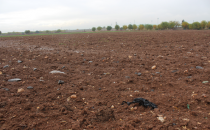 "Barajlarda Doluluk Oranı Arttı"