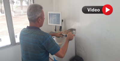 Barış Pınarı Bölgesinde Tarım ve Hayvancılık Destekleniyor