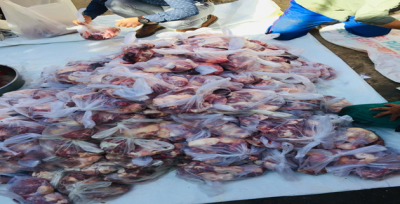 Barış Pınarı Bölgesinde Düzen Yeniden Kuruluyor