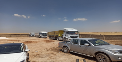 Barış Pınarında Tarım ve Hayvancılık Canlandı