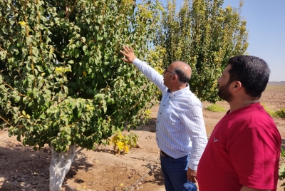 Barış Pınarında Tarım ve Hayvancılığa Büyük Destek