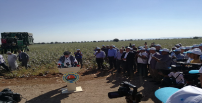Başkan Bayraktar: ''Pamuk Fiyatları Yüzde 26'nın Üzerinde Düştü''