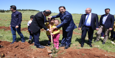 Başkan Canpolat, Öğrenciler İle Fidan Dikti