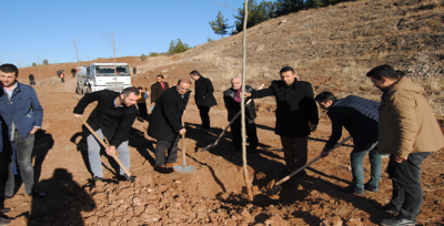 Başkan Çiftçi, Ak Parti Teşkilatıyla Birlikte Ağaç Dikti