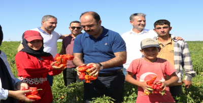 Başkan Çiftçi, İSOT Hasadına Katıldı