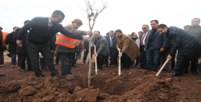 Başkan Çiftçi, Meclis Üyeleriyle Birlikte Ağaç Dikti