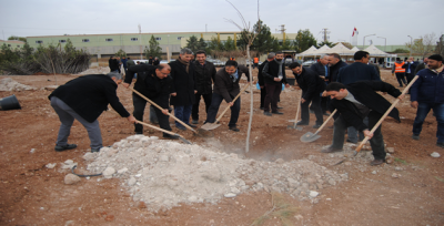 Başkan Çiftçi, Muhtarlarla Birlikte Ağaç Dikti